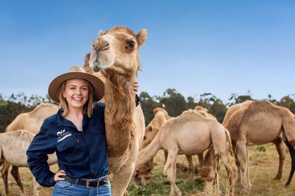 Qcamel