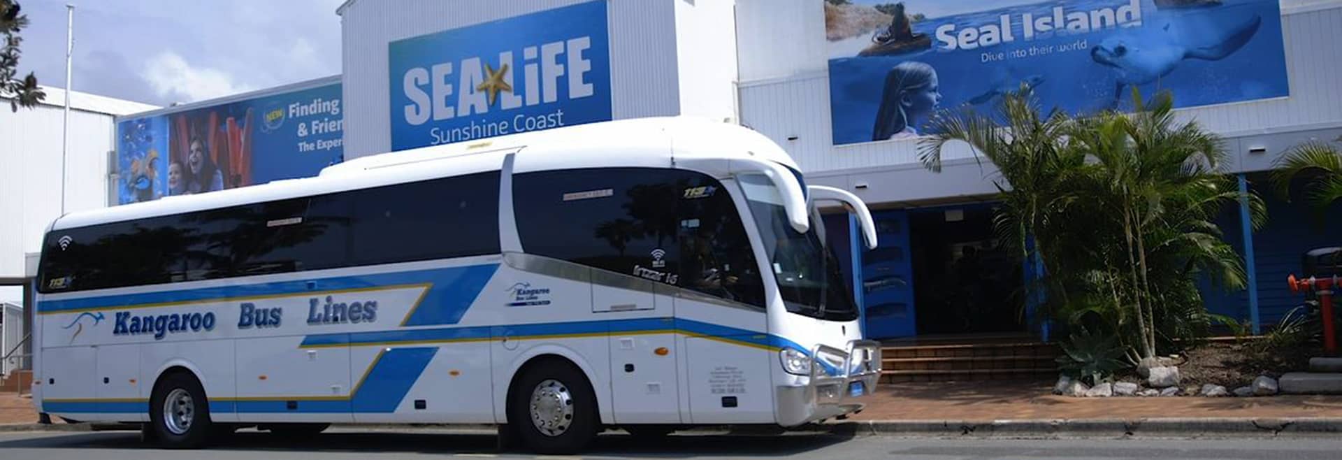Kangaroo Bus Lines